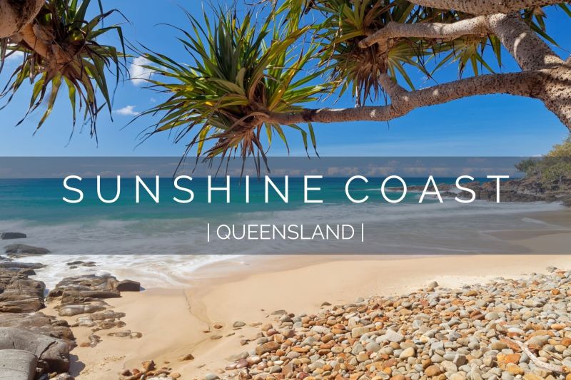 Dog Friendly Holidays Queensland